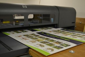 Flatbed Printing